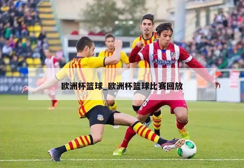 欧洲杯篮球_欧洲杯篮球比赛回放