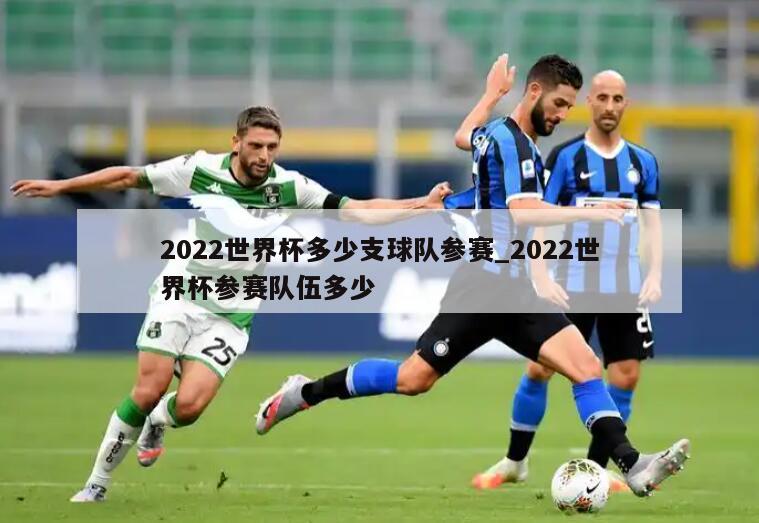 2022世界杯多少支球队参赛_2022世界杯参赛队伍多少