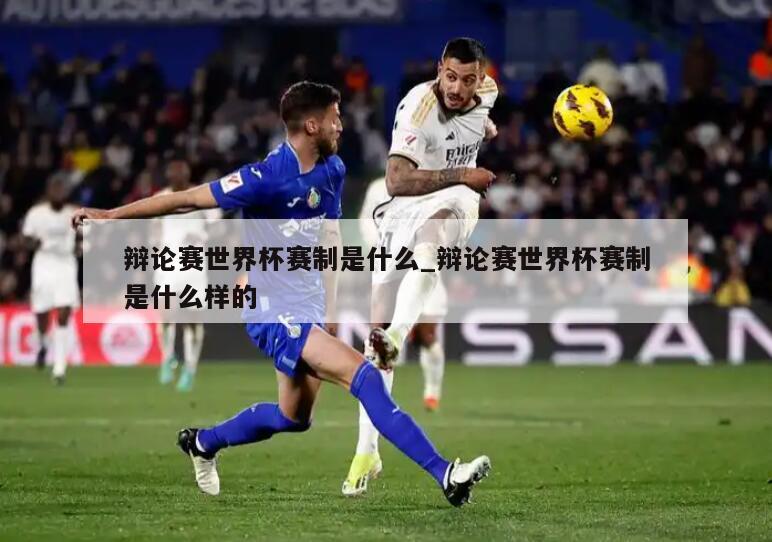 辩论赛世界杯赛制是什么_辩论赛世界杯赛制是什么样的