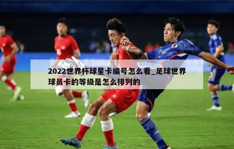 2022世界杯球星卡编号怎么看_足球世界球员卡的等级是怎么排列的