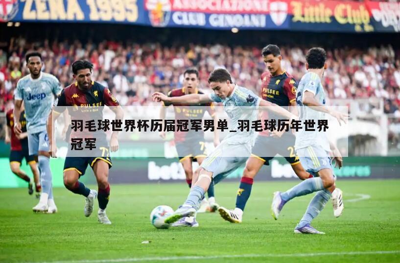 羽毛球世界杯历届冠军男单_羽毛球历年世界冠军