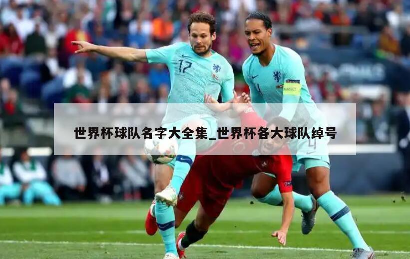 世界杯球队名字大全集_世界杯各大球队绰号