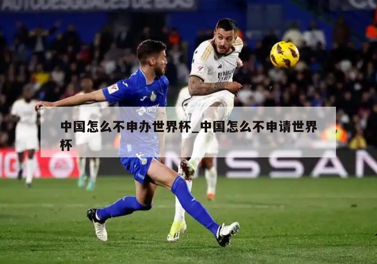 中国怎么不申办世界杯_中国怎么不申请世界杯