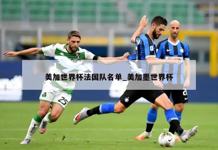 美加世界杯法国队名单_美加墨世界杯