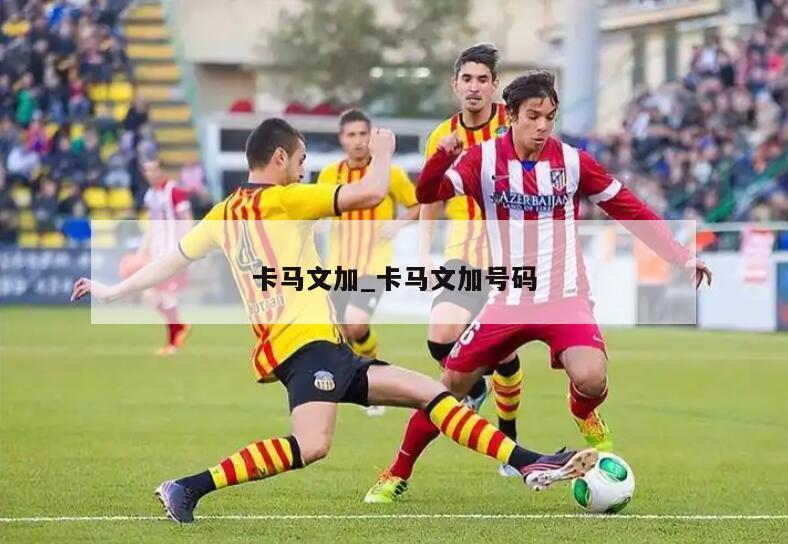 卡马文加_卡马文加号码