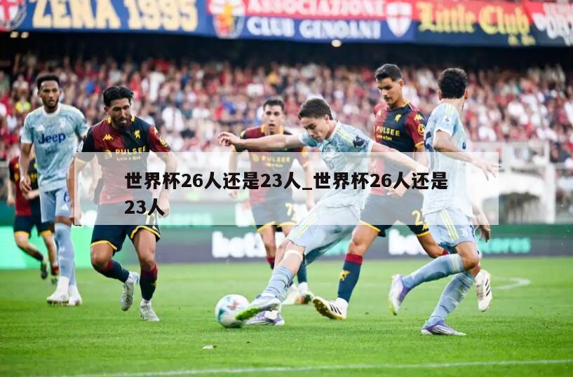 世界杯26人还是23人_世界杯26人还是23人