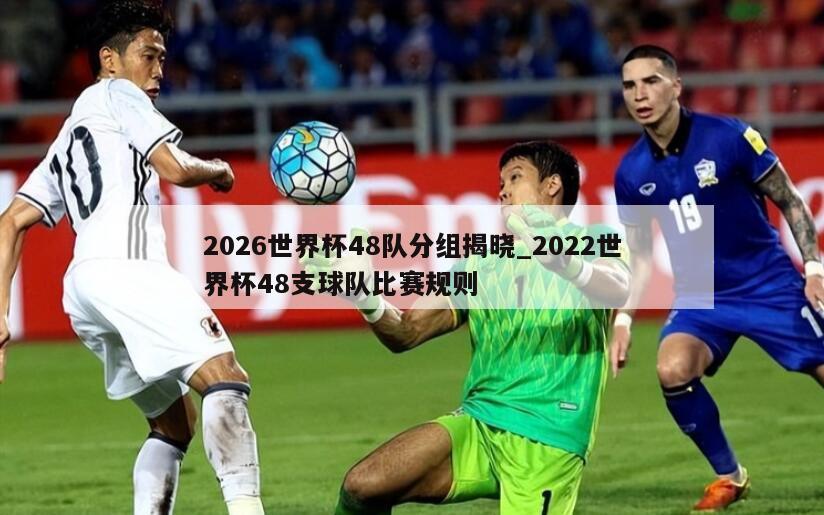 2026世界杯48队分组揭晓_2022世界杯48支球队比赛规则
