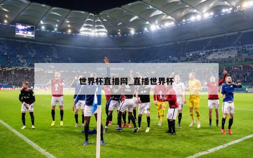 世界杯直播网_直播世界杯