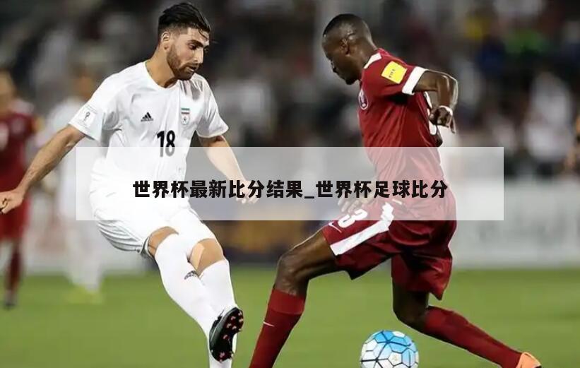 世界杯最新比分结果_世界杯足球比分