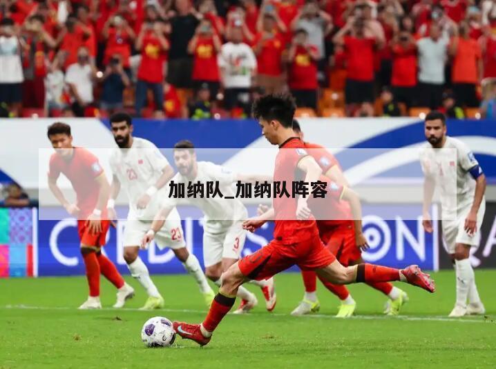 加纳队_加纳队阵容