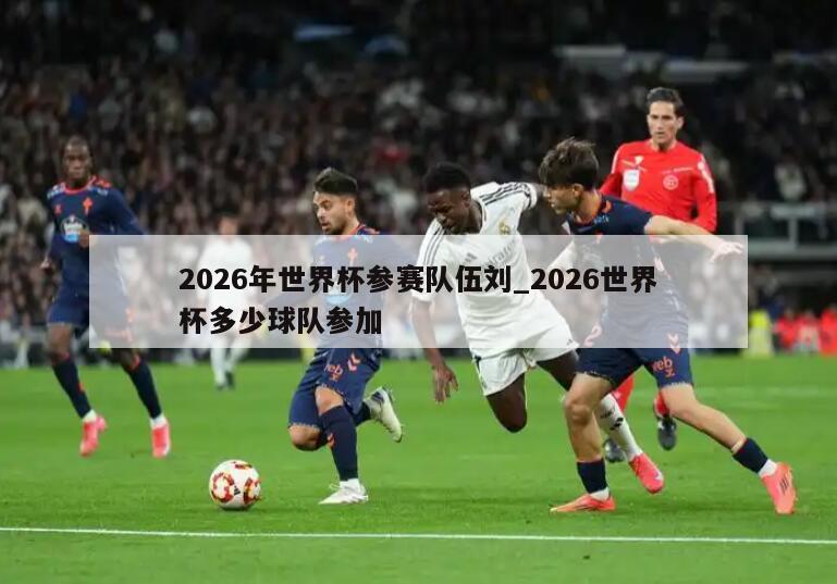 2026年世界杯参赛队伍刘_2026世界杯多少球队参加