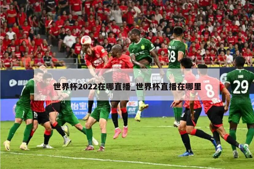 世界杯2022在哪直播_世界杯直播在哪里
