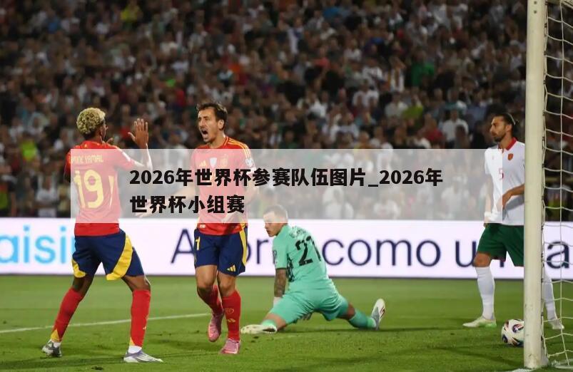 2026年世界杯参赛队伍图片_2026年世界杯小组赛