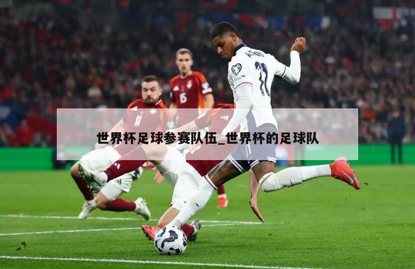 世界杯足球参赛队伍_世界杯的足球队
