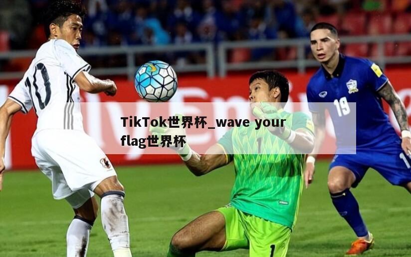 TikTok世界杯_wave your flag世界杯