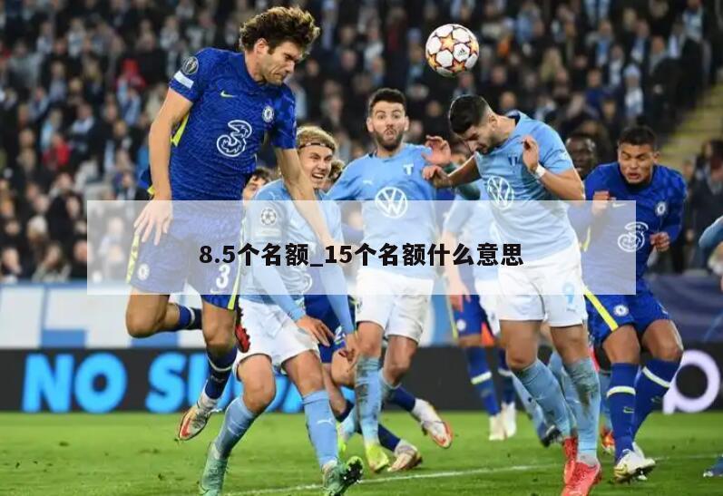 8.5个名额_15个名额什么意思