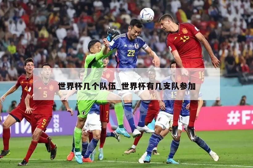 世界杯几个队伍_世界杯有几支队参加