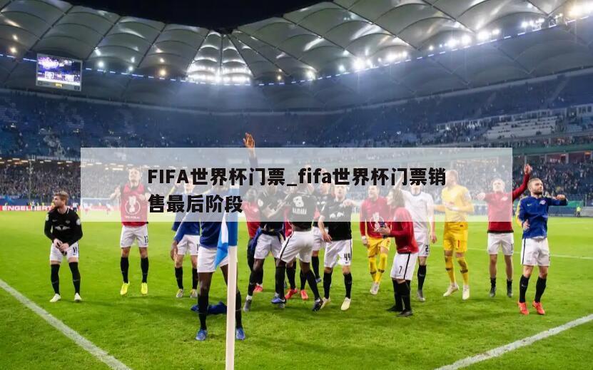 FIFA世界杯门票_fifa世界杯门票销售最后阶段