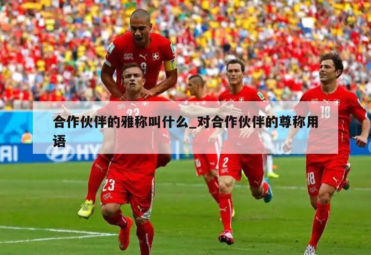 合作伙伴的雅称叫什么_对合作伙伴的尊称用语