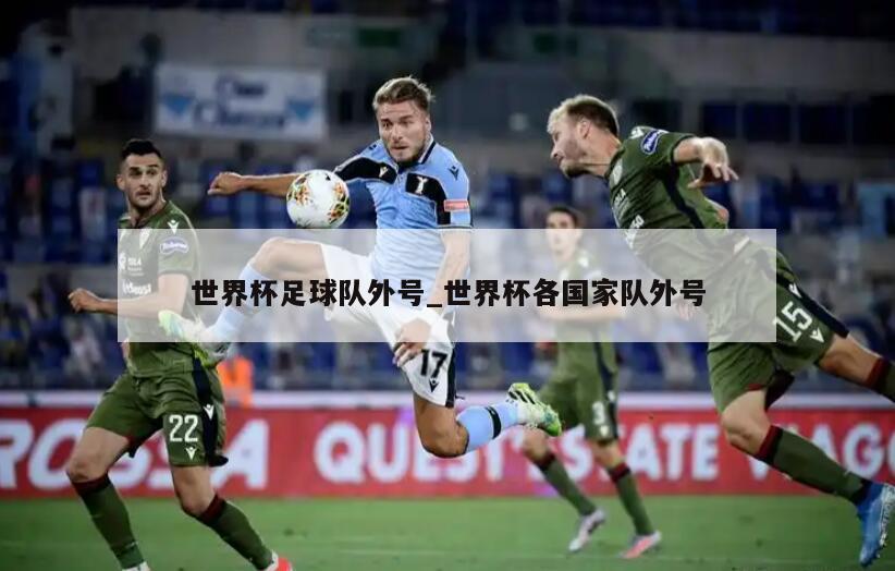 世界杯足球队外号_世界杯各国家队外号