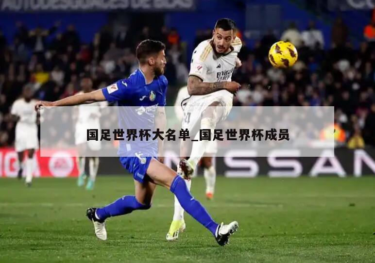 国足世界杯大名单_国足世界杯成员