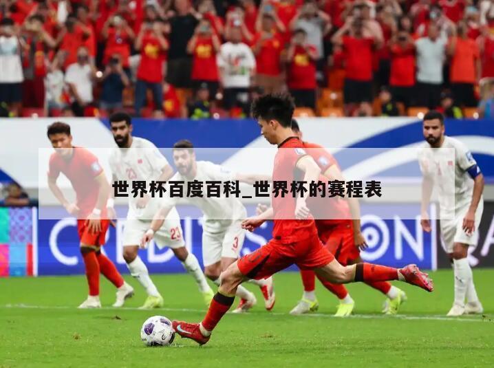 世界杯百度百科_世界杯的赛程表