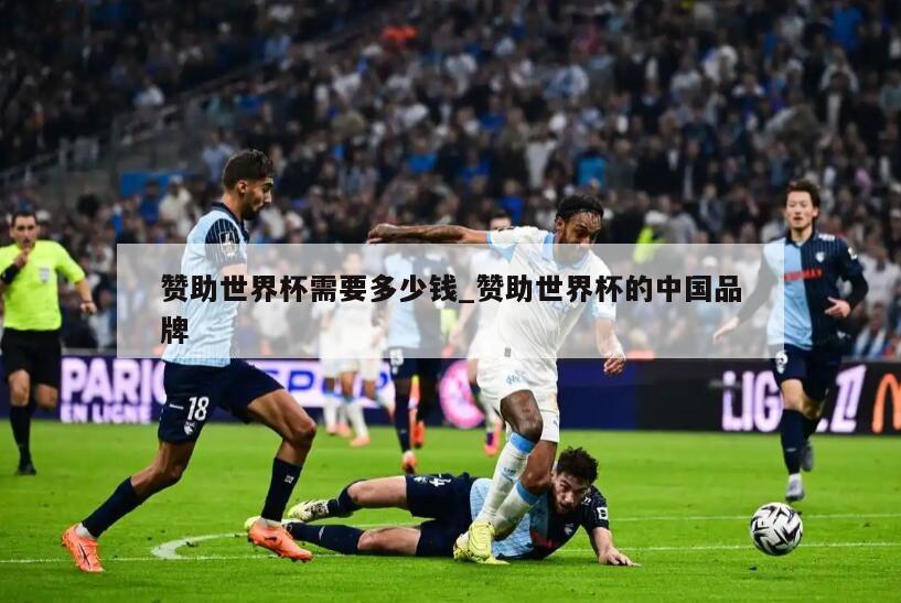 赞助世界杯需要多少钱_赞助世界杯的中国品牌